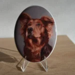 Pet dog memorial photo
