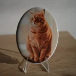 ceramic photo of a cat